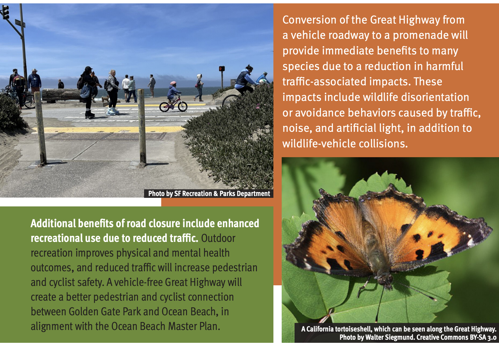 Additional benefits of road closure include enhanced recreational use due to reduced traffic. Outdoor recreation improves physical and mental health outcomes, and reduced traffic will increase pedestrian and cyclist safety. A vehicle-free Great Highway will create a better pedestrian and cyclist connection between Golden Gate Park and Ocean Beach, in alignment with the Ocean Beach Master Plan. Conversion of the Great Highway from a vehicle roadway to a promenade will provide immediate benefits to many species due to a reduction in harmful traffic-associated impacts. These impacts include wildlife disorientation or avoidance behaviors caused by traffic, noise, and artificial light, in addition to wildlife-vehicle collisions.